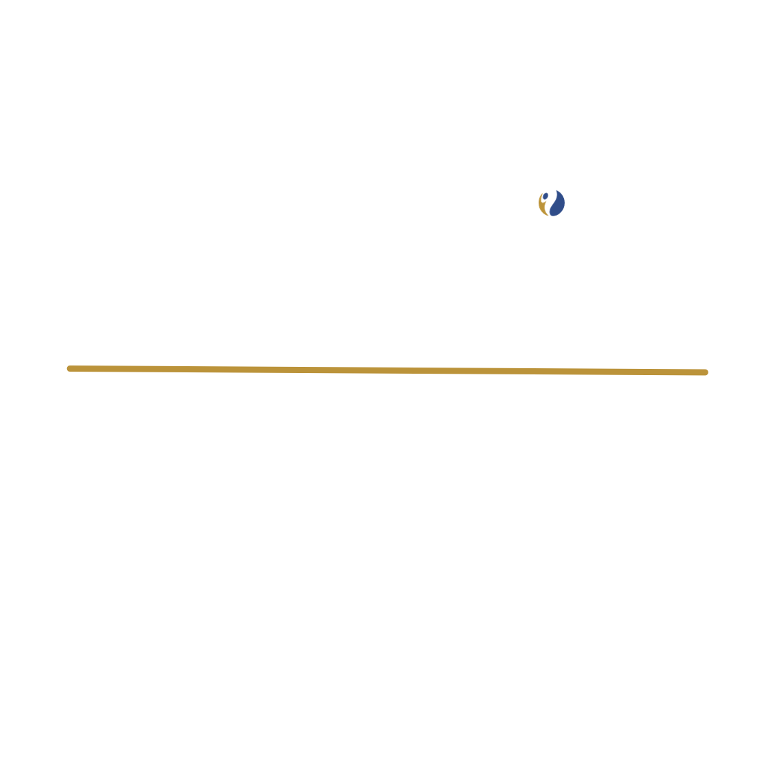 LEWIS BUSINESS CENTER